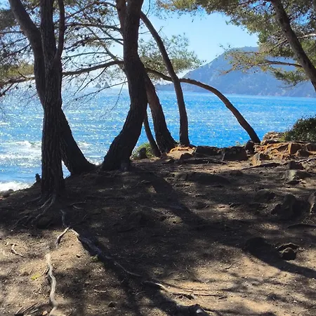Lägenhet Climatise A 500m De La Saint-Mandrier-sur-Mer